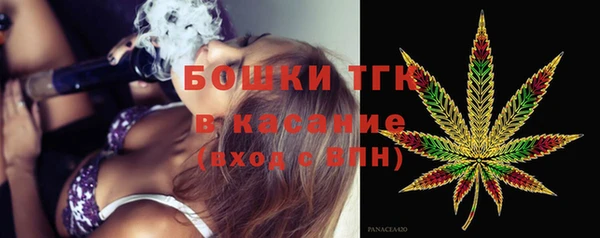 прущие грибы Вяземский