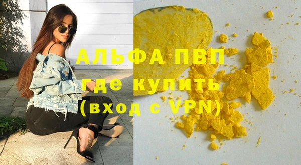 прущие грибы Вяземский
