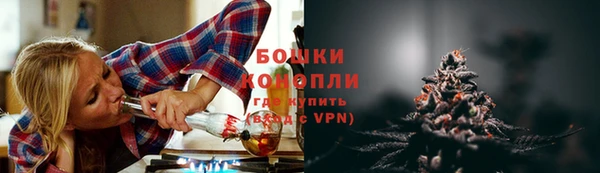 шишки Вязьма