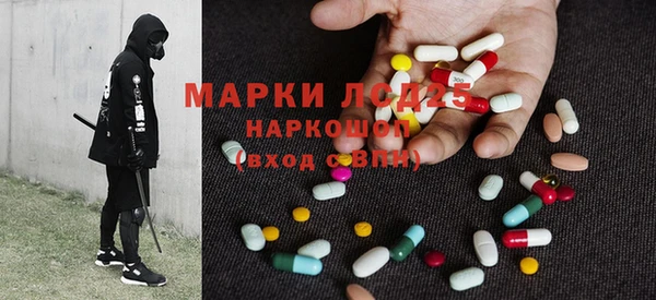 прущие грибы Вяземский