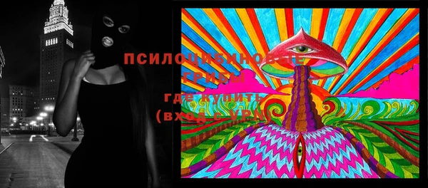 шишки Вязьма