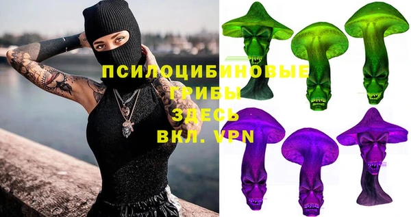 шишки Вязьма