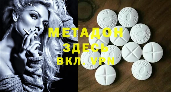 прущие грибы Вяземский
