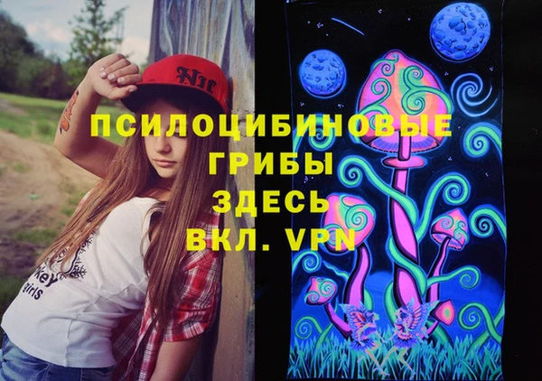 прущие грибы Вяземский