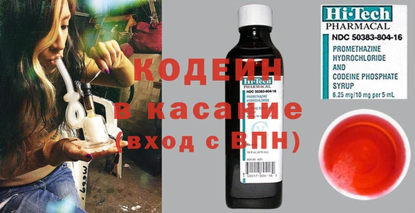 прущие грибы Вяземский