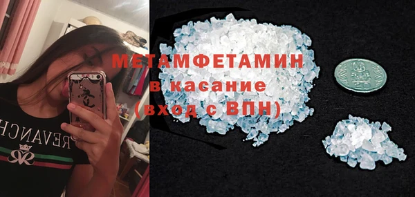 прущие грибы Вяземский