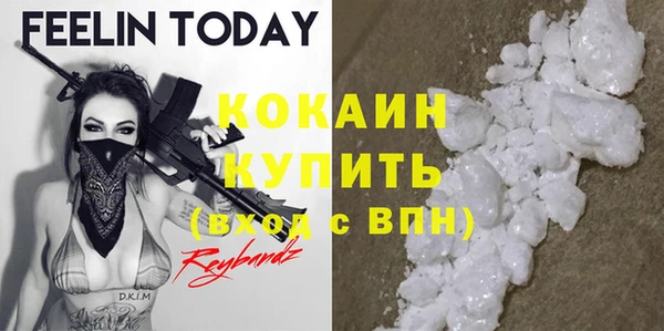 прущие грибы Вяземский