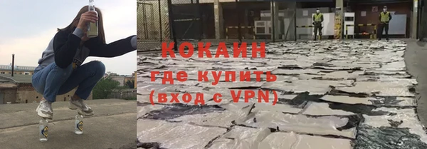 шишки Вязьма