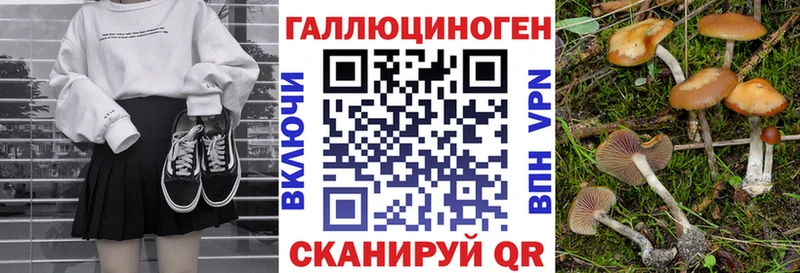 MEGA ссылка где можно купить Пересвет Псилоцибиновые грибы GOLDEN TEACHER