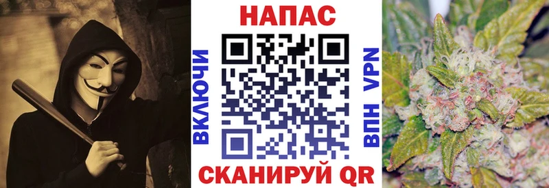 Бошки Шишки сатива  Пересвет 